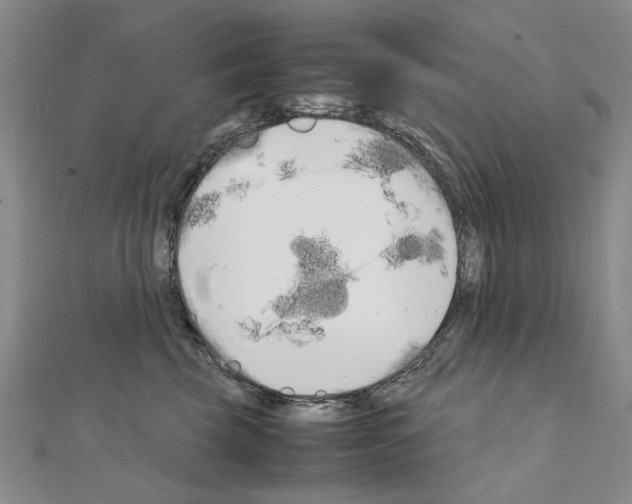 X0000111230569200908131125