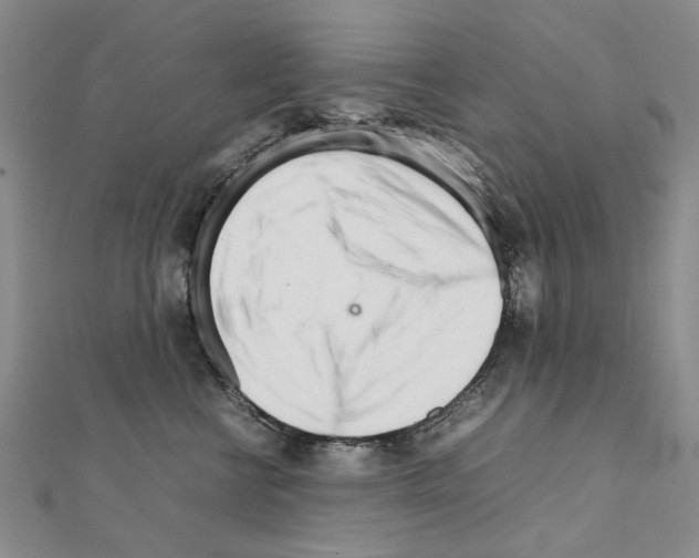 X0000111230570200908131125