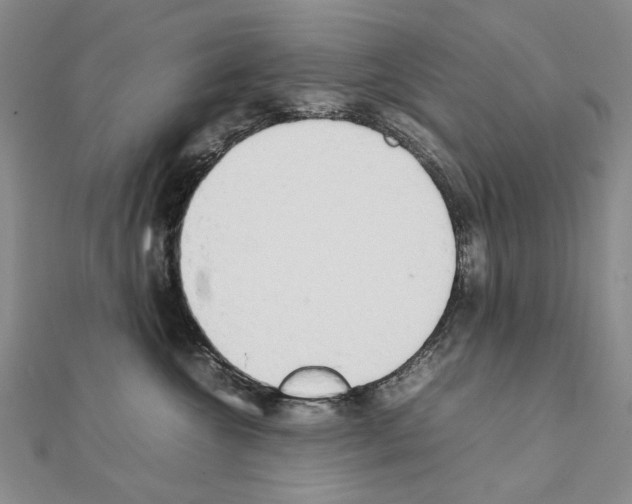 X0000111230572200908131125