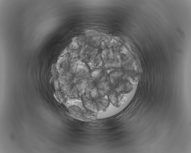 X0000111230573200908131125