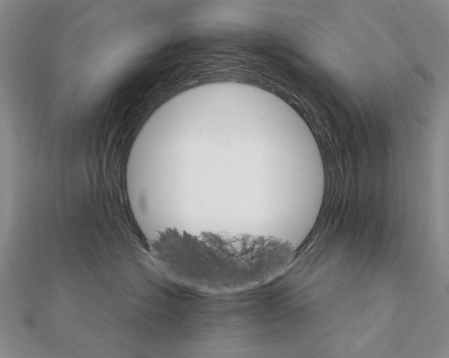 X0000111230574200908131125