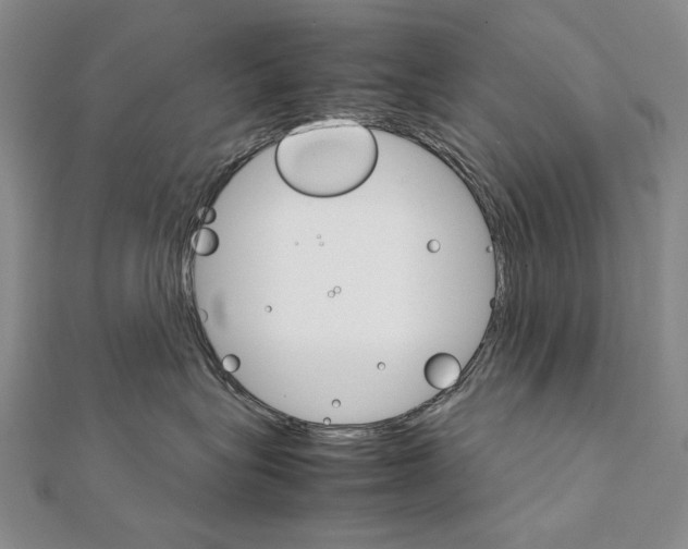 X0000111230575200908131125