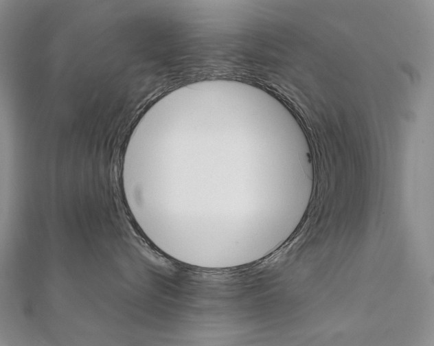 X0000111230576200908131125