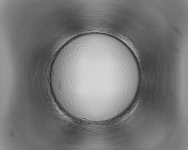 X0000111230577200908131124