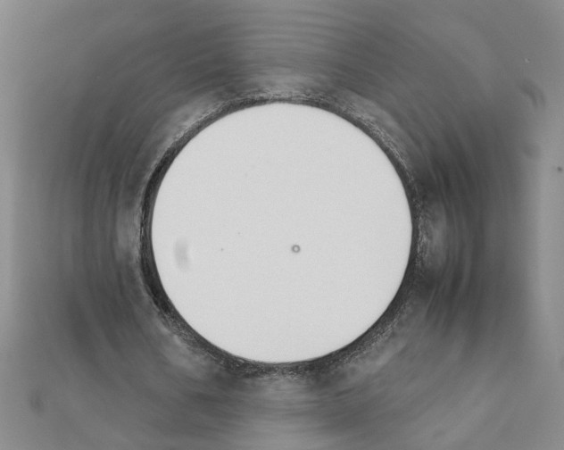 X0000111230578200908131124