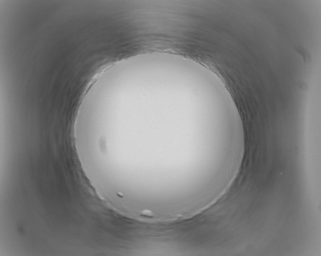 X0000111230579200908131124