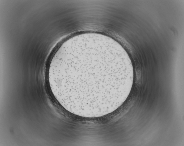 X0000111230580200908131124