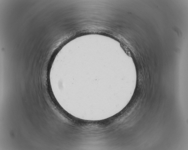 X0000111230581200908131124
