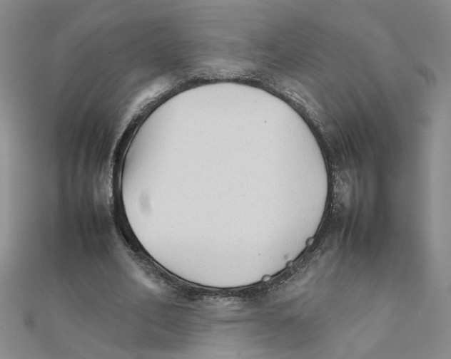 X0000111230582200908131124