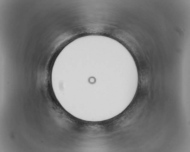 X0000111230583200908131124