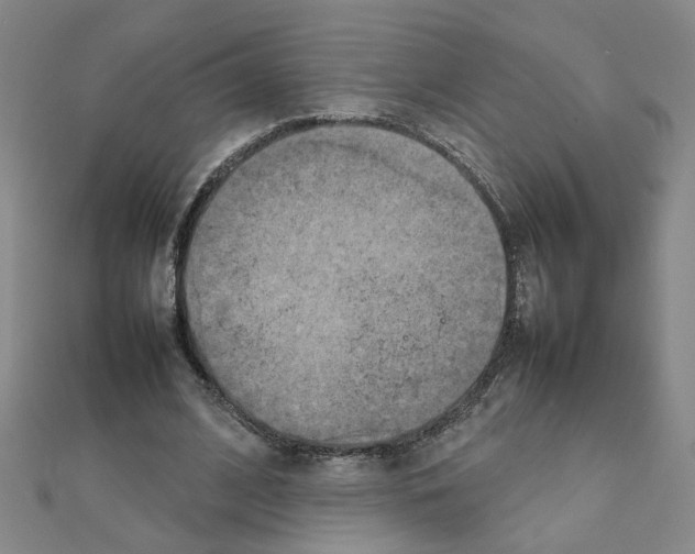 X0000111230584200908131124