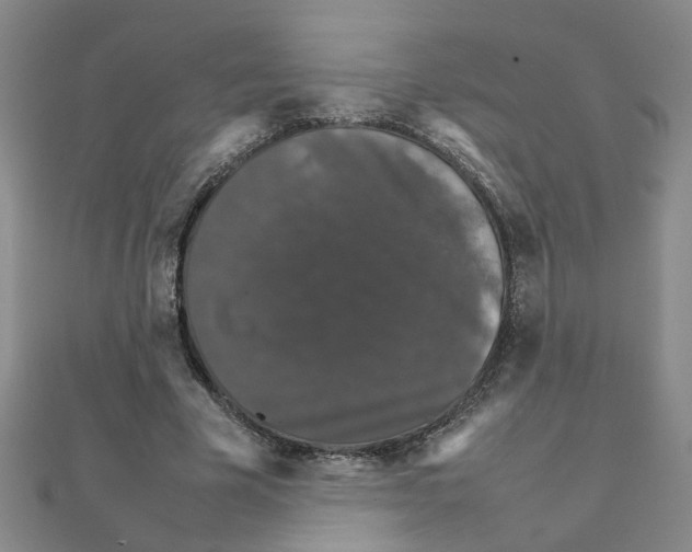 X0000111230585200908131124