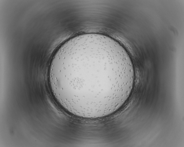 X0000111230586200908131124