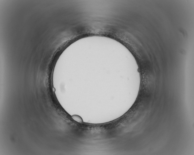 X0000111230587200908131124
