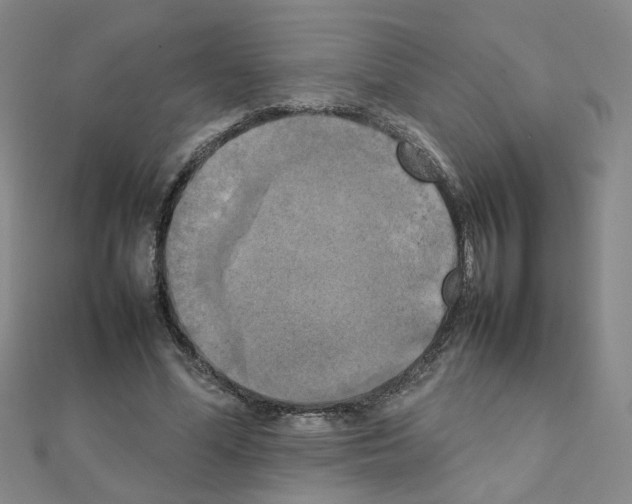 X0000111230588200908131124