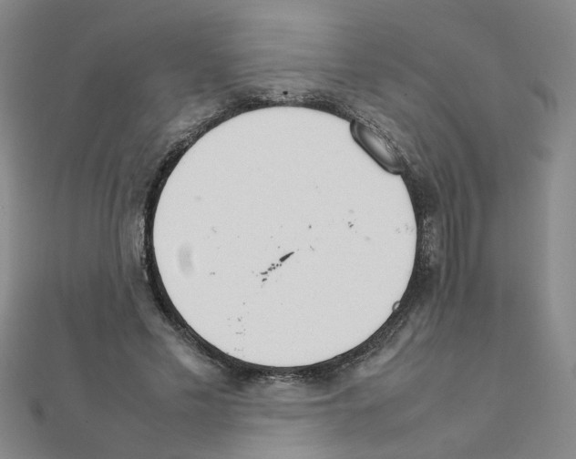 X0000111230589200908131124