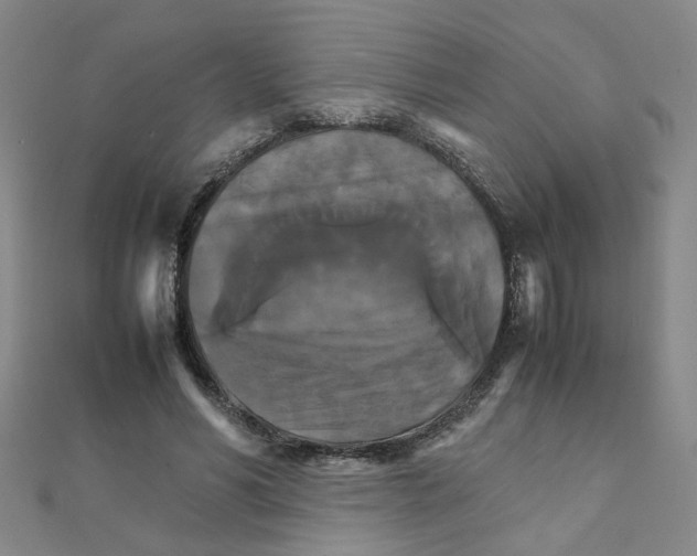 X0000111230590200908131124