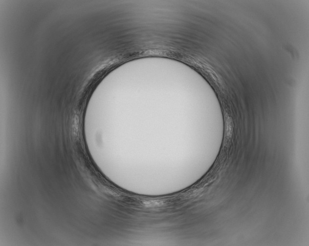 X0000111230591200908131124