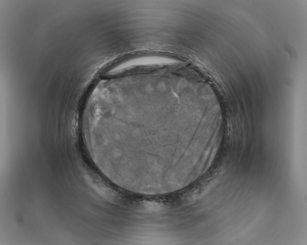 X0000111230592200908131124