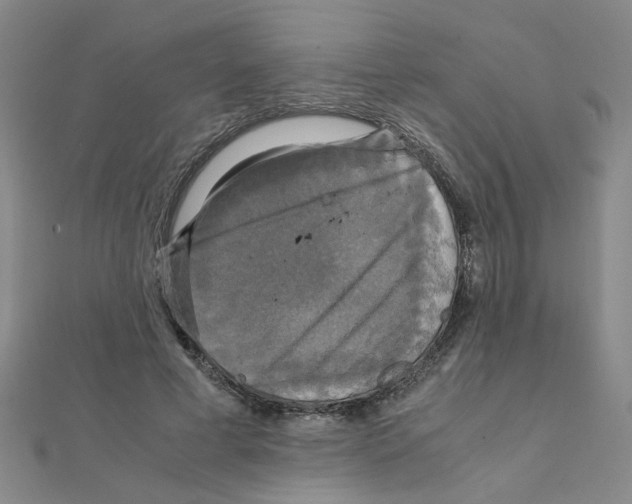 X0000111230593200908131124