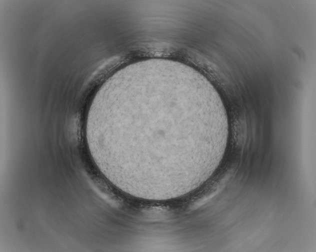 X0000111230594200908131124