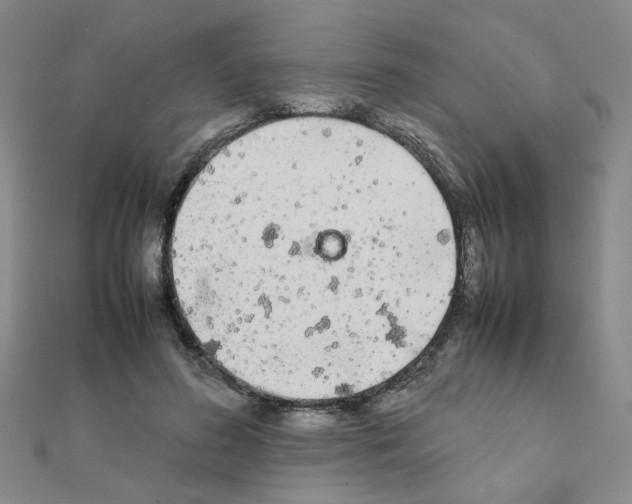 X0000111230596200908131124