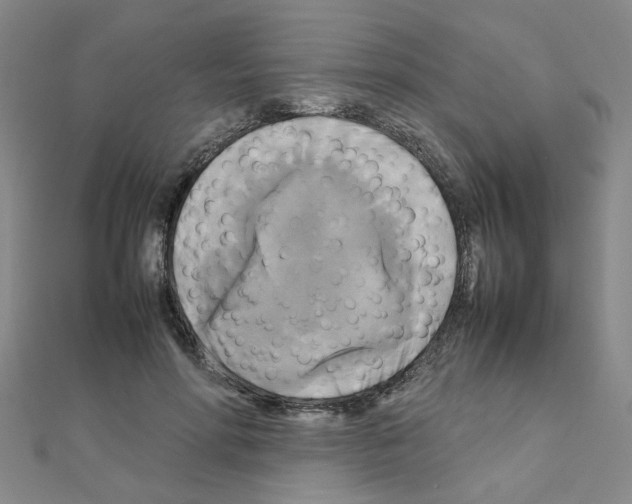 X0000111230598200908131124