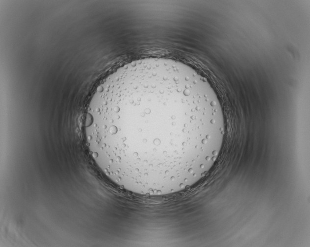 X0000111230602200908131124