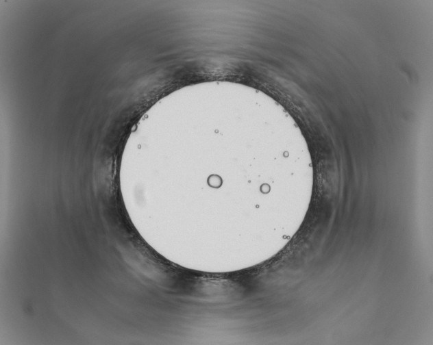 X0000111230605200908131124