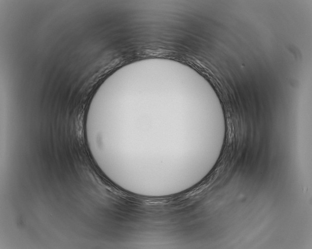X0000111230606200908131124