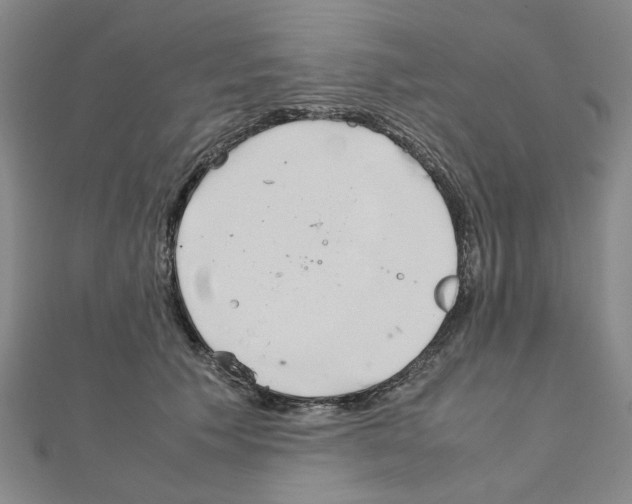 X0000111230609200908131124