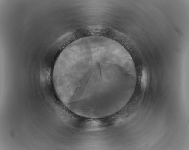 X0000111230610200908131124