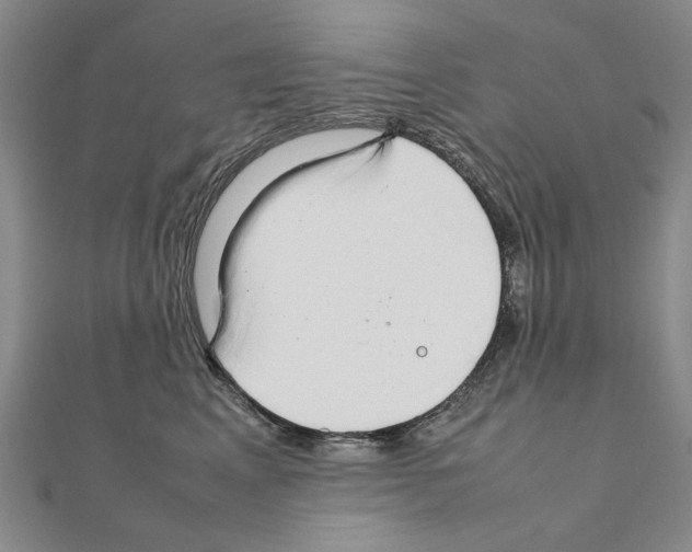 X0000111230617200908131124