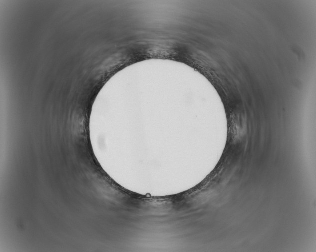 X0000111230619200908131124