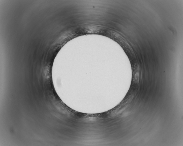 X0000111230620200908131124
