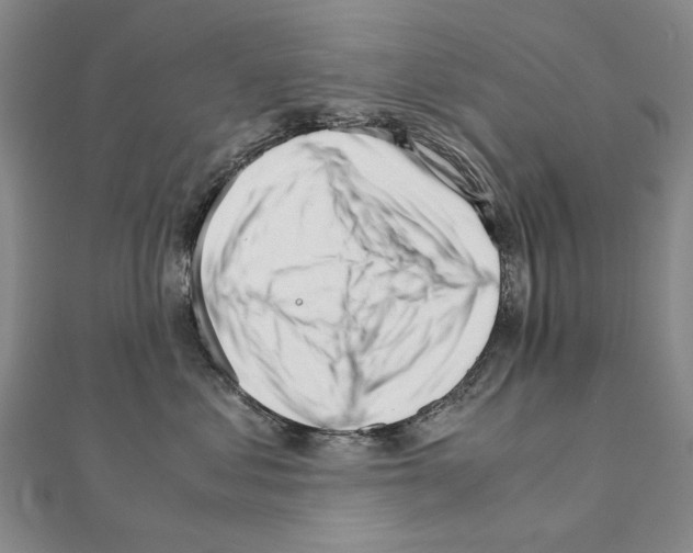 X0000111230621200908131124