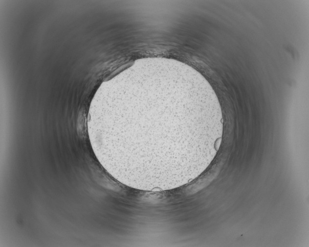 X0000111230624200908131124