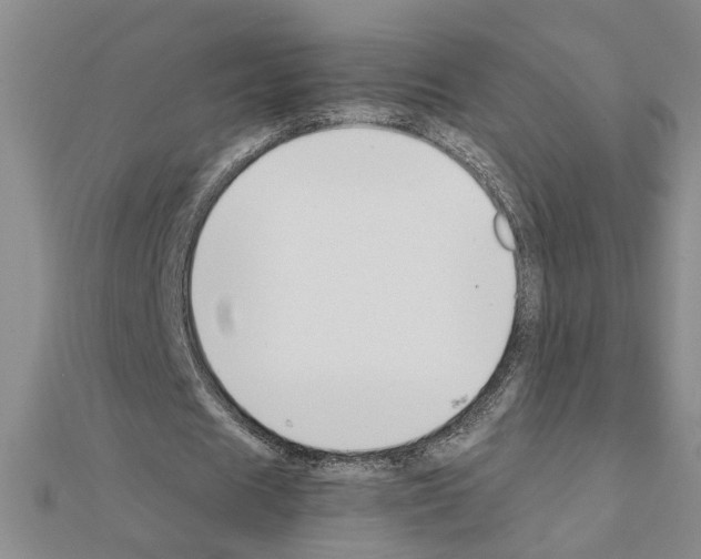 X0000111230625200908131123