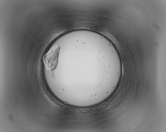 X0000111230627200908131123