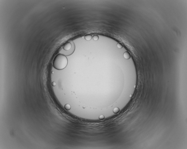 X0000111230631200908131123