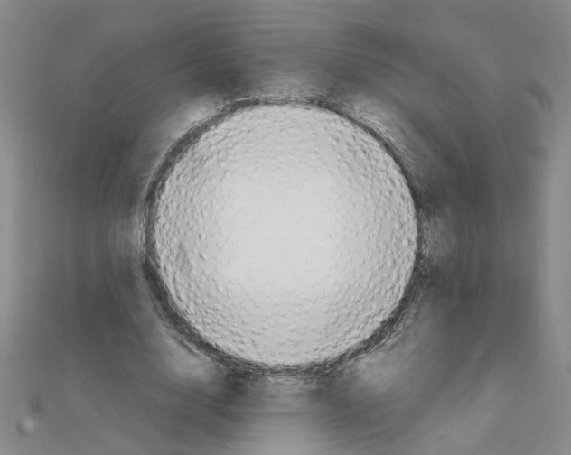 X0000111230632200908131123