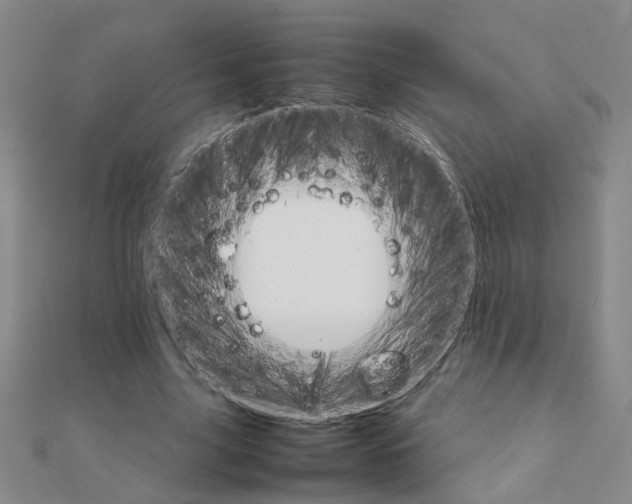 X0000111230635200908131123