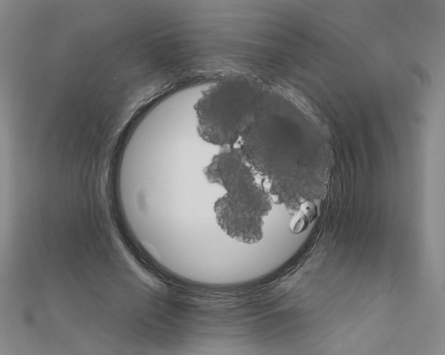X0000111230638200908131123