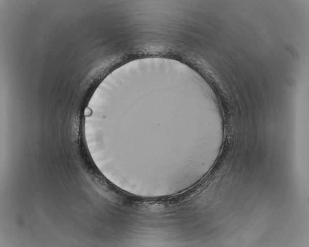 X0000111230640200908131123