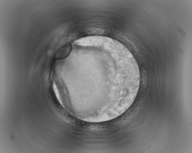 X0000111230641200908131123