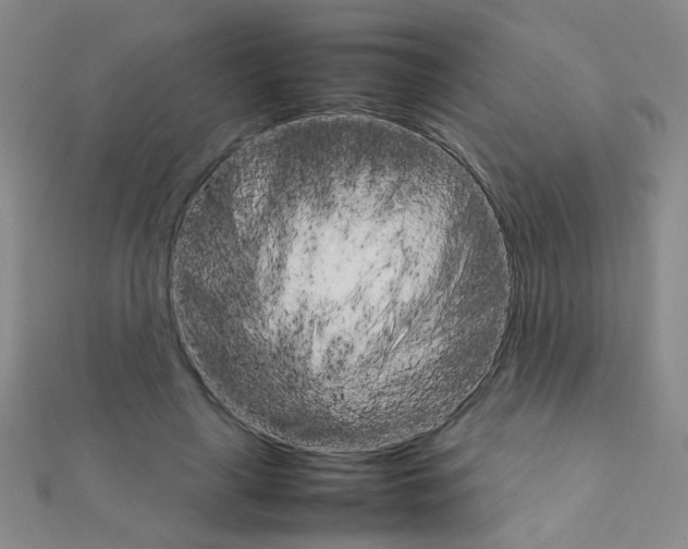 X0000111230643200908131123