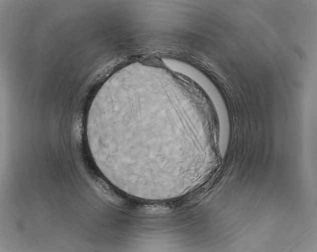 X0000111230644200908131123