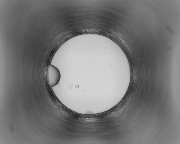 X0000111230645200908131123