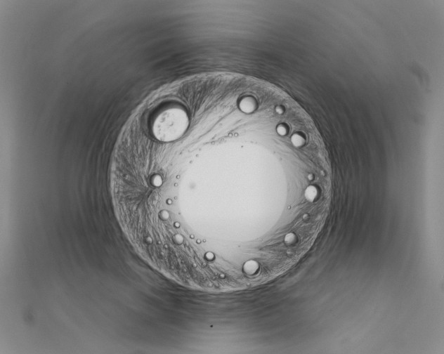 X0000111230646200908131123