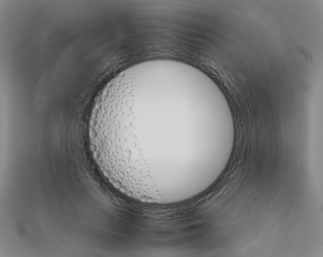 X0000111230647200908131123